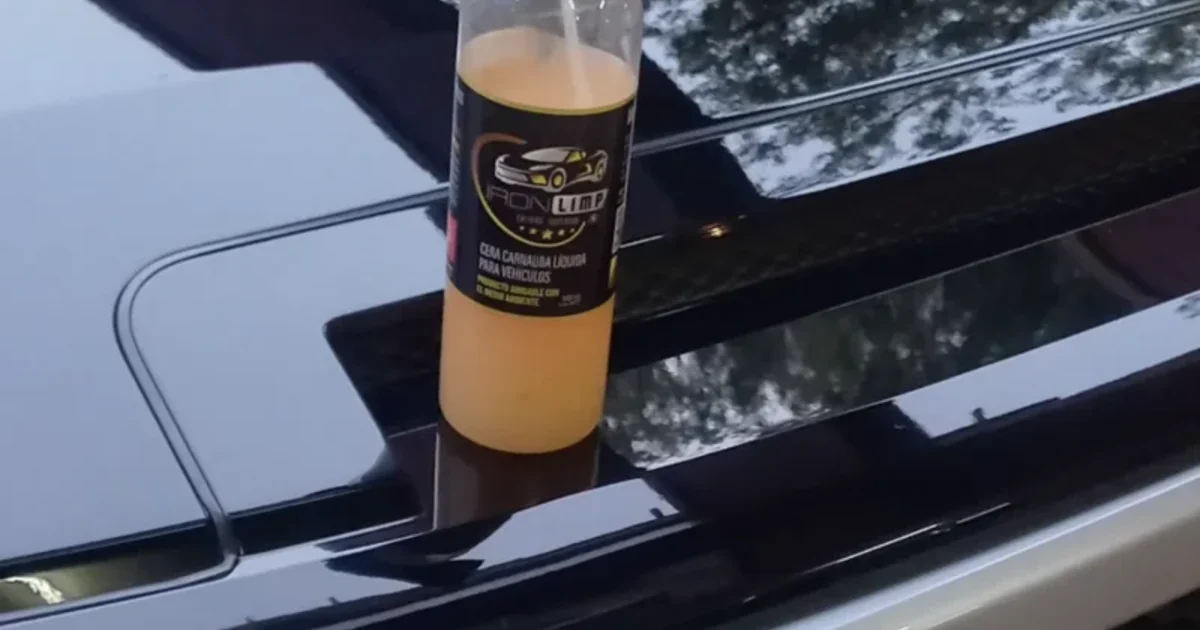 Hydrophobic paint detail with water beads — Detailing Marin