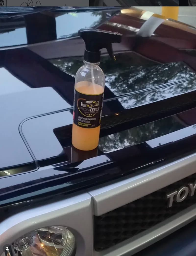 Agua hidrofóbica sobre pintura recién detallada — resultado Detailing Marin